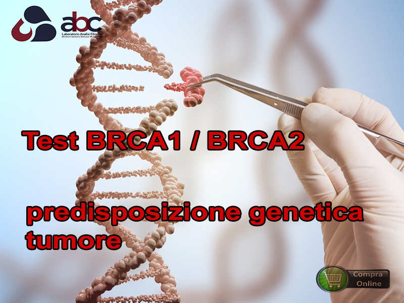 brca12